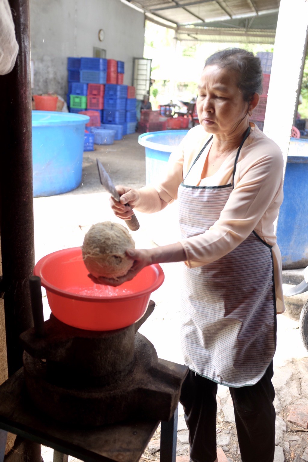 Draining coconut