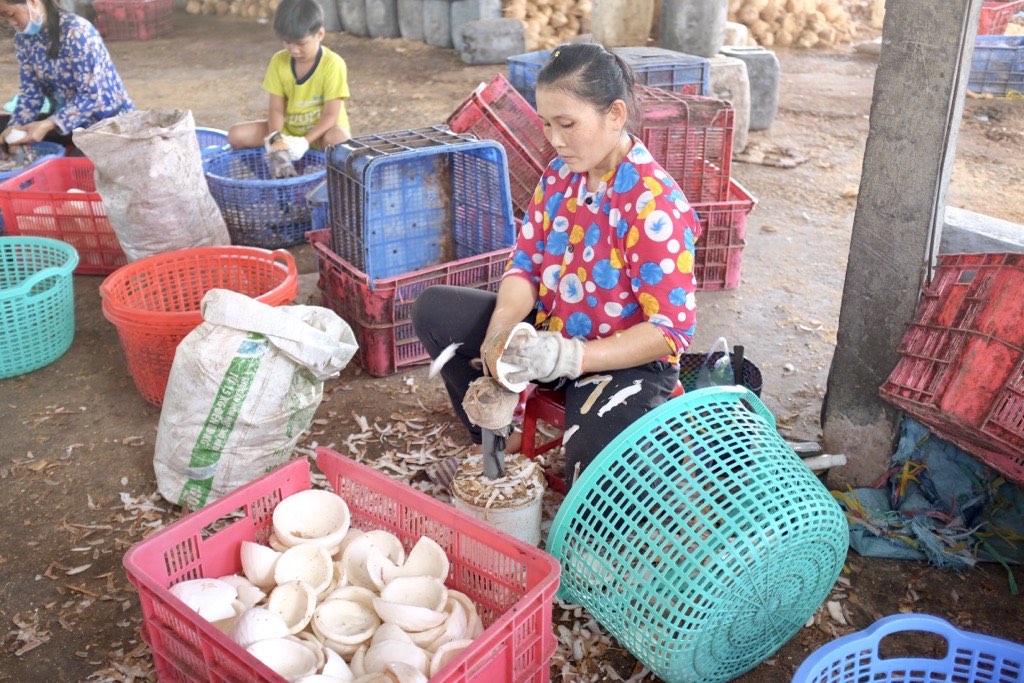 Processing Coconut