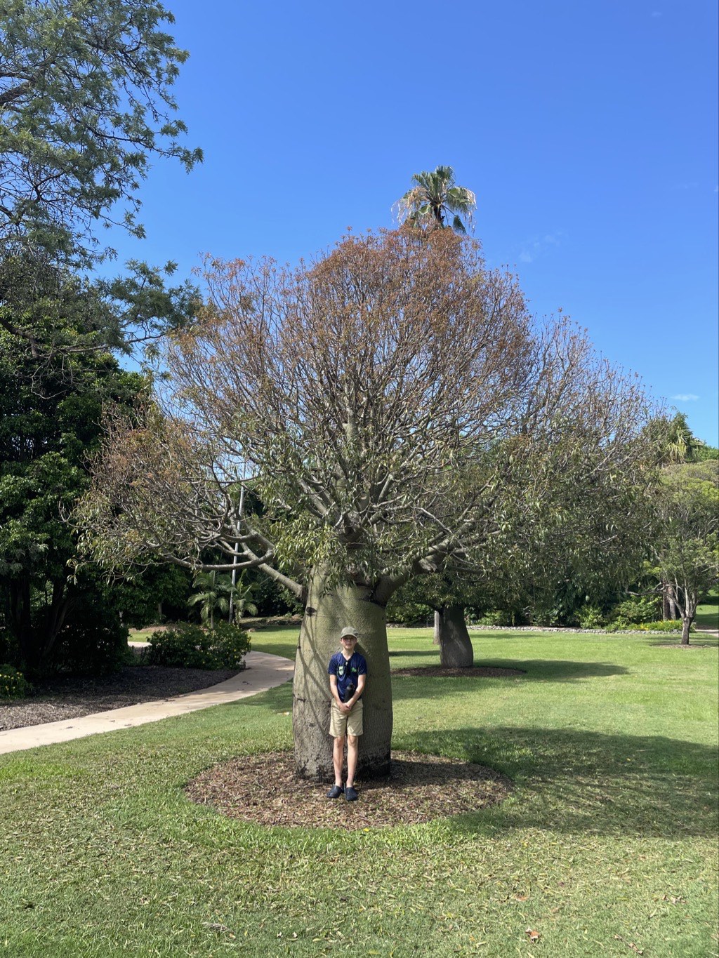 Alex by a tree