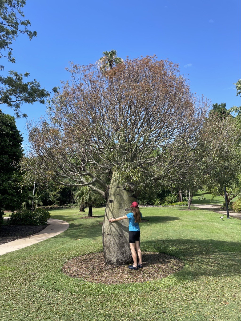 Bella hugging a tree