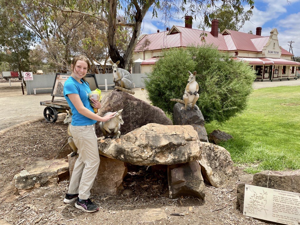 Bella with Wallabies