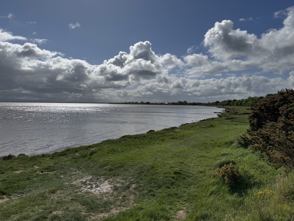 Salt marshes