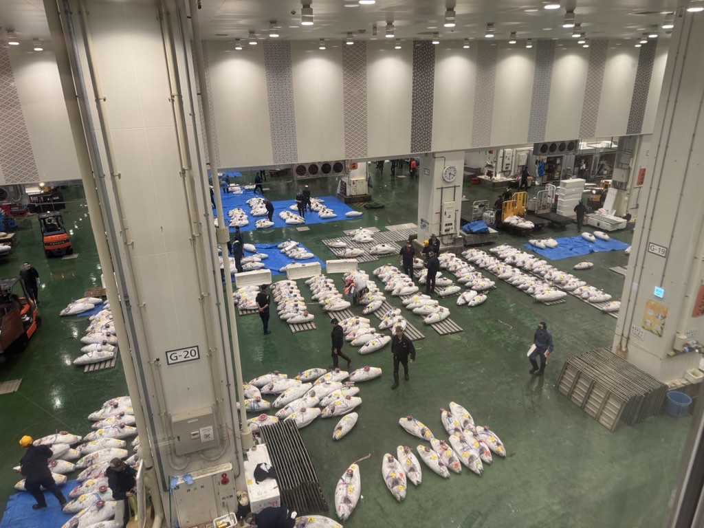 tuna market