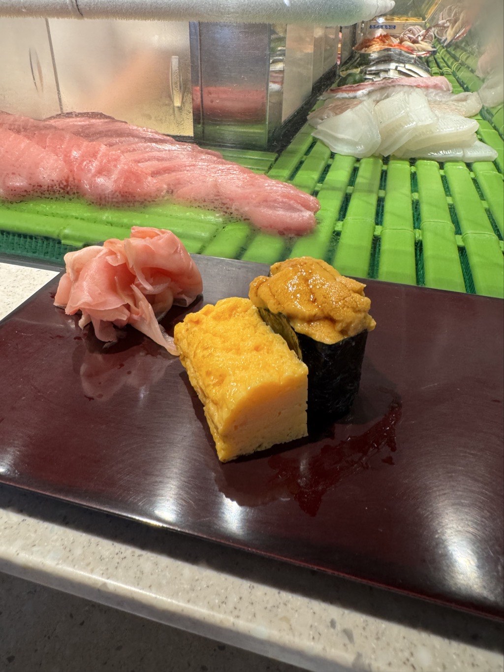 sea urchin