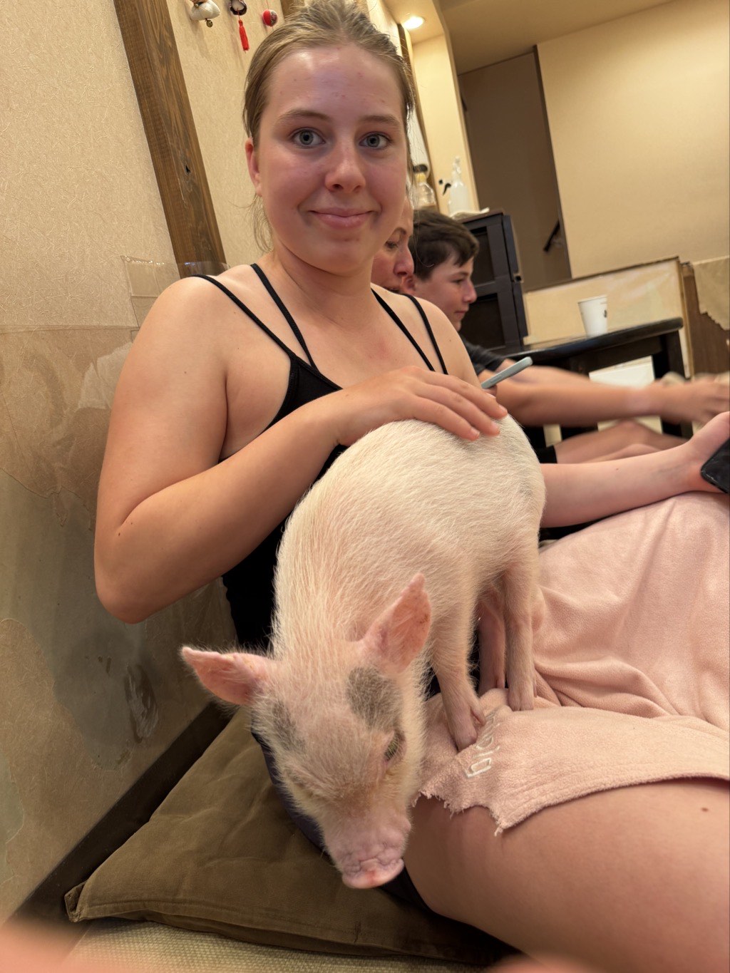 bella micro pig