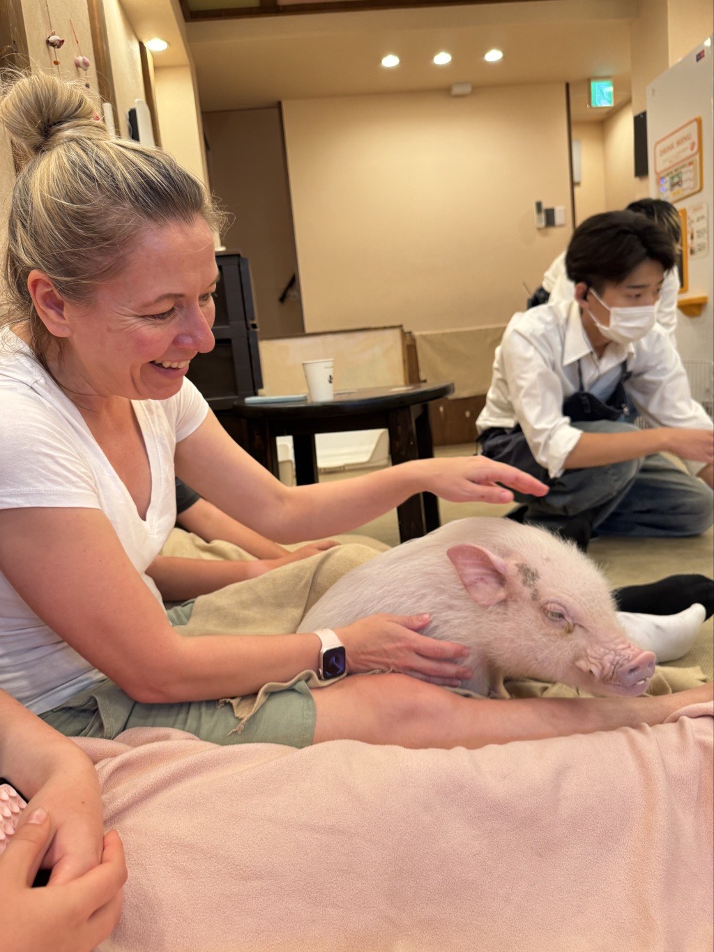 diana micro pig