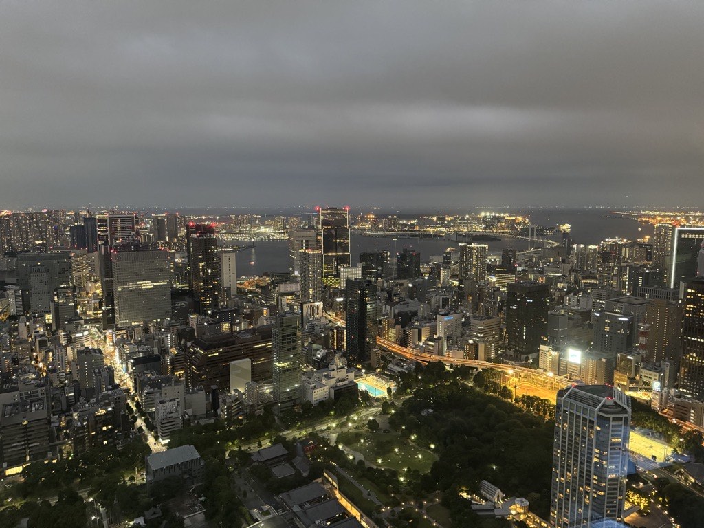 tokyo tower sea view