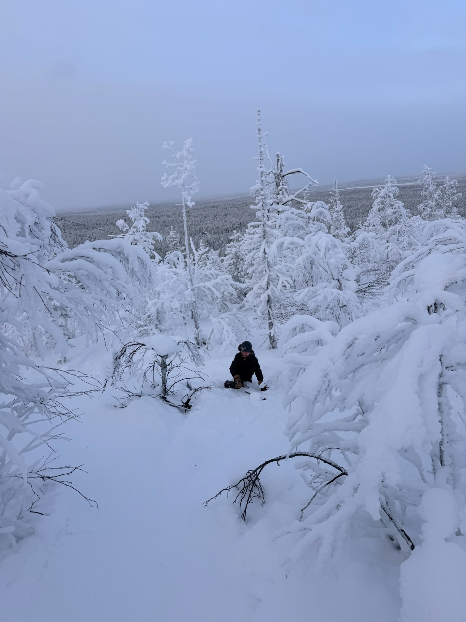 Alex, hugging a tree
