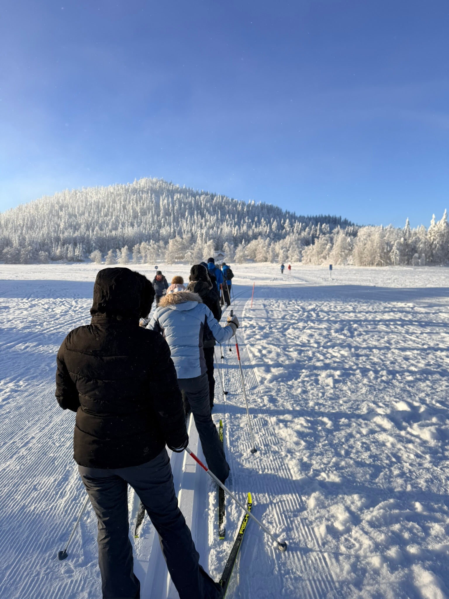 Single file out across the frozen lake — the scale of it is hard to convey in a photo