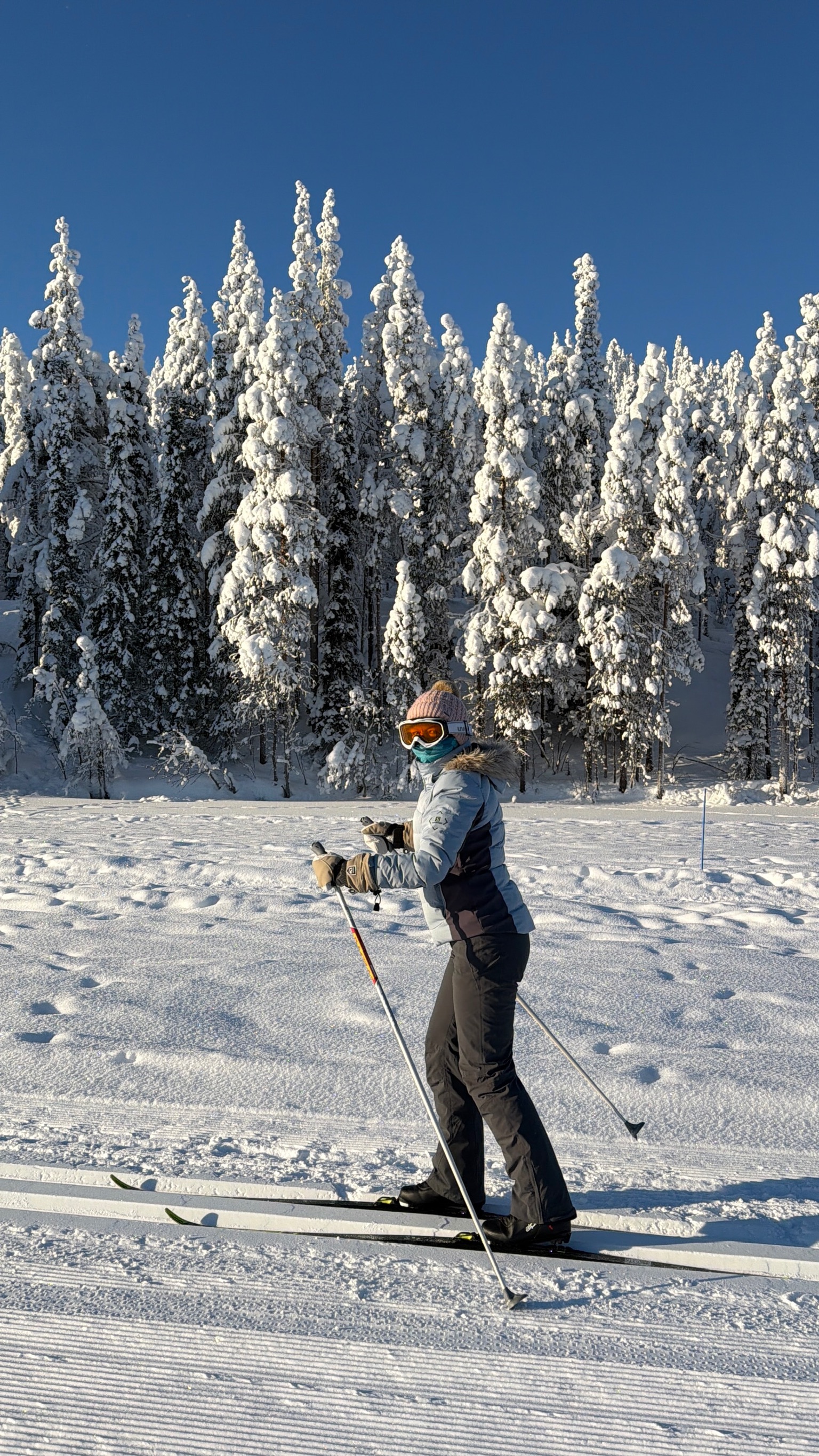 Diana in full stride — the wall of snow-laden spruce trees behind her