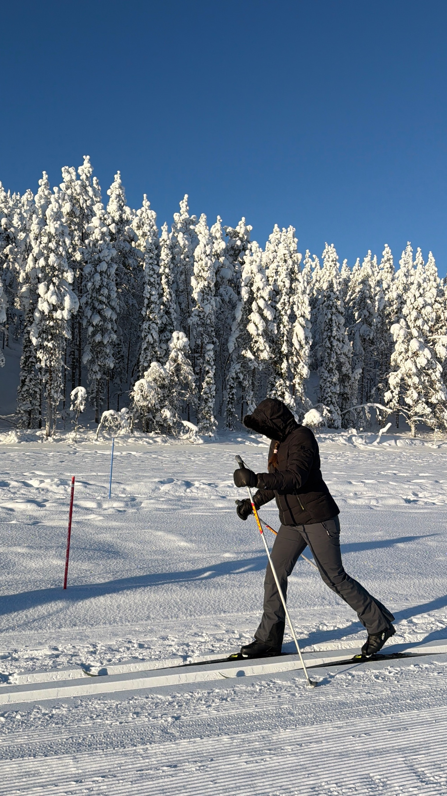 Alex on the tracks — looking considerably more comfortable on Nordic skis than I expected