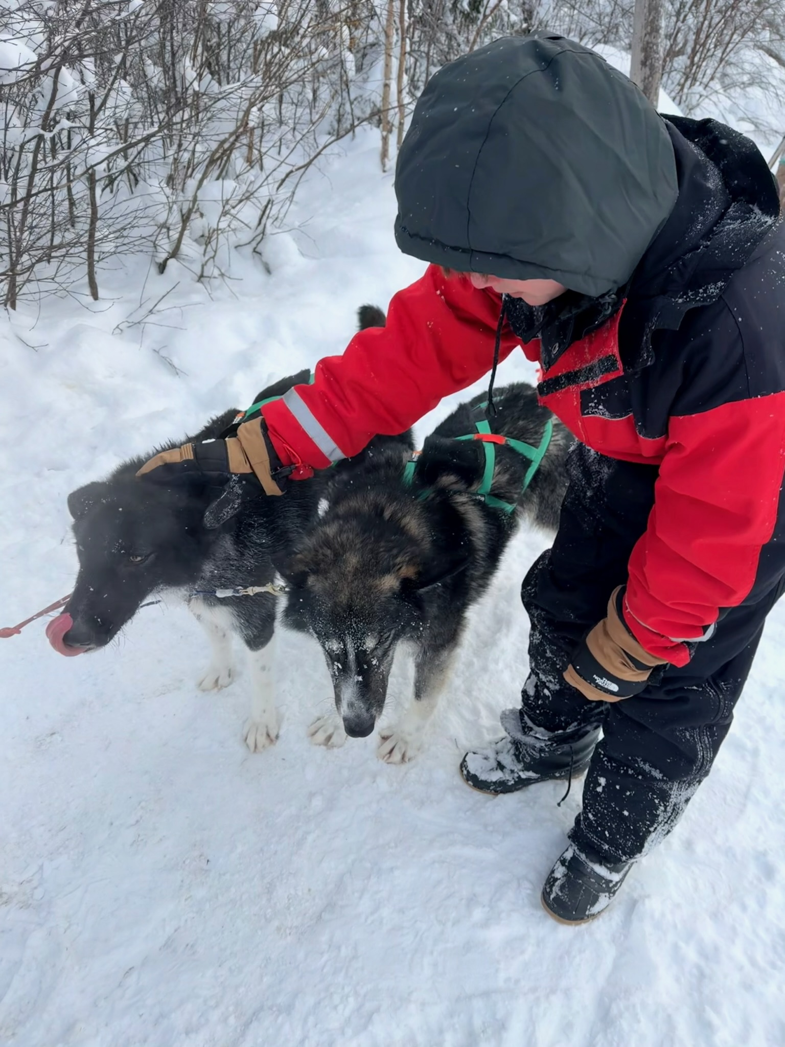 Alex making friends with the huskies at the end